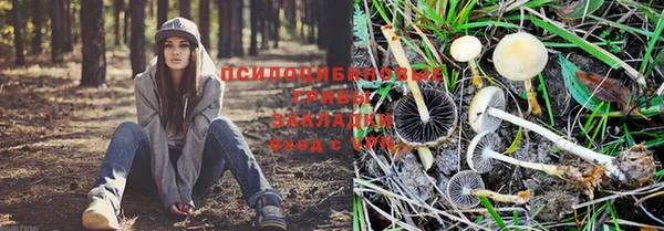 mdpv Арсеньев