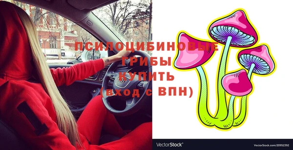спиды Аркадак