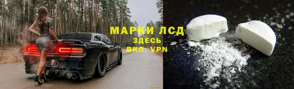 спиды Аркадак