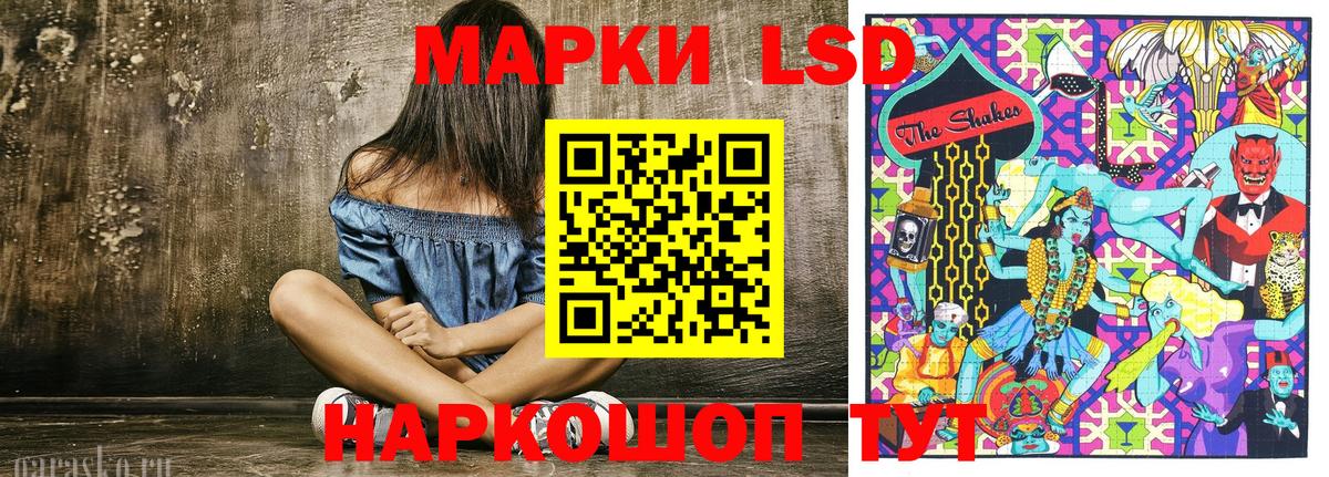 Марки N-bome 1500мкг  сколько стоит  Петропавловск-Камчатский  Вход с VPN 