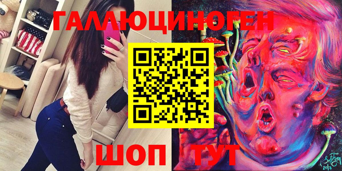 Псилоцибиновые грибы Psilocybine cubensis Петропавловск-Камчатский