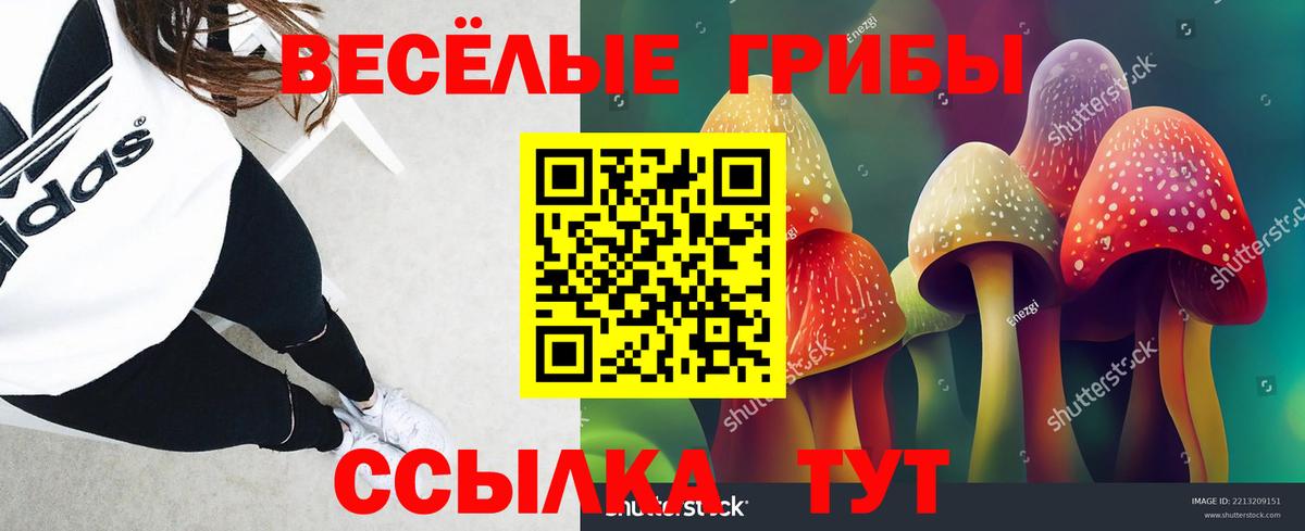 Псилоцибиновые грибы Psilocybine cubensis  магазин продажи   Петропавловск-Камчатский  Вход с VPN 