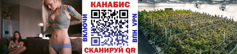 KRAKEN маркетплейс  Петропавловск-Камчатский  Бошки Шишки марихуана  даркнет сайт 